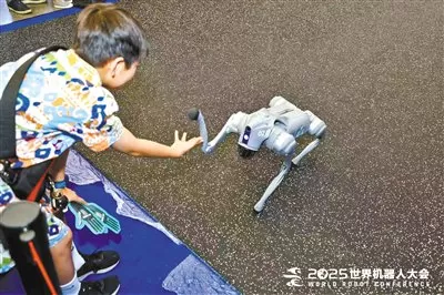 逛2026世界机器人大会看这篇指南就够了