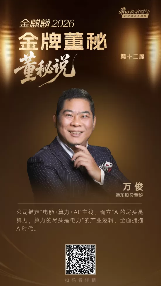 董秘说|远东股份董秘万俊：以“电能+算力+AI”拥抱AI算力时代