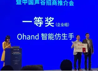 2019第二届国际智能语音及人工智能大赛
